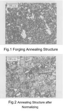 blog-216-379 blog-216-379