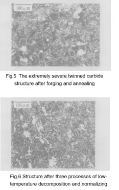 blog-233-371 blog-233-371