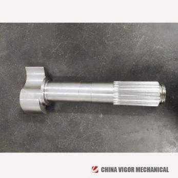 ספּלינע טאָרמאָז קאַמשאַפט